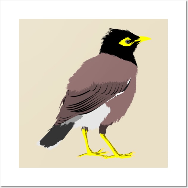 Common Myna Wall Art by stargatedalek